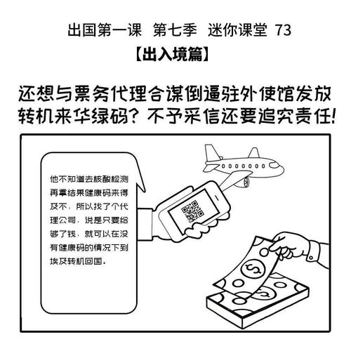 倒逼駐外使館發(fā)放綠碼？票務(wù)代理合作風(fēng)險(xiǎn)與責(zé)任追究警示